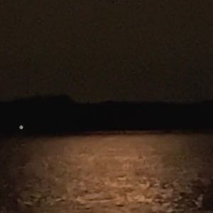 Meet your Posher, Wallace